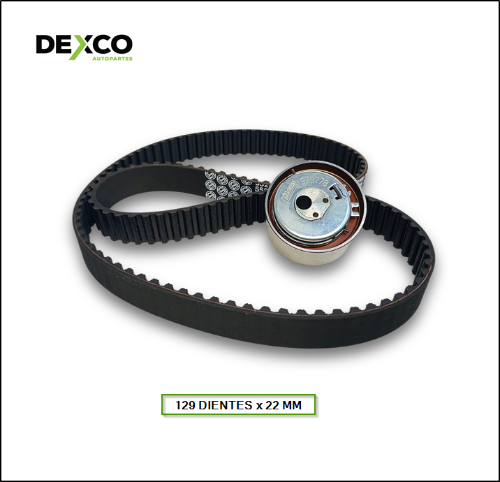 KIT DISTRIBUCION FIAT FIORINO, IDEA, PALIO, UNO, PUNTO Todos motor 1,4 8V - FIRE (129 dientes x 22 mm) - SKF: VKMA-02206/1